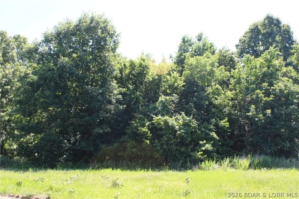 Picture 5