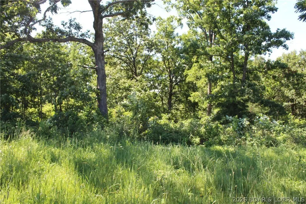 Picture 14