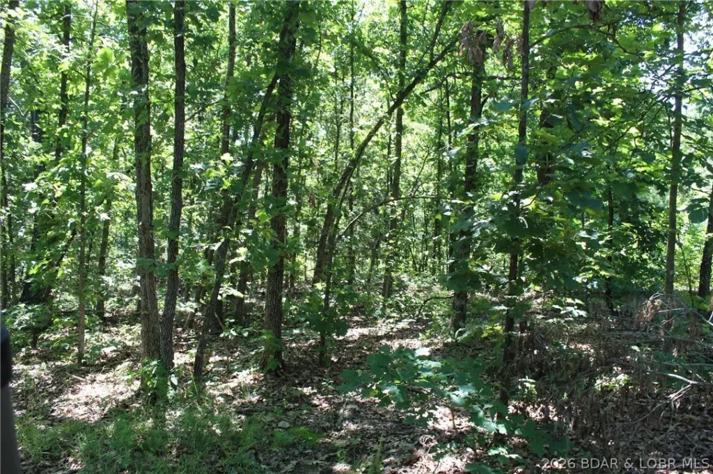 Picture 16