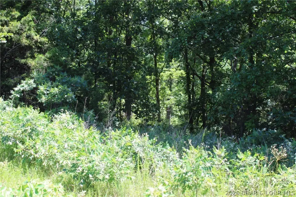 Picture 21