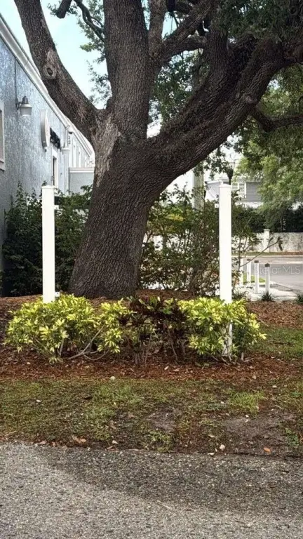Picture 42