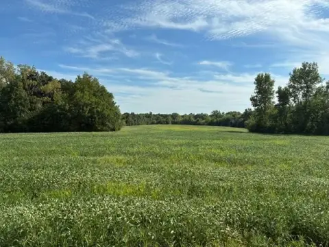 Nine-Acre Land in Sweet Springs