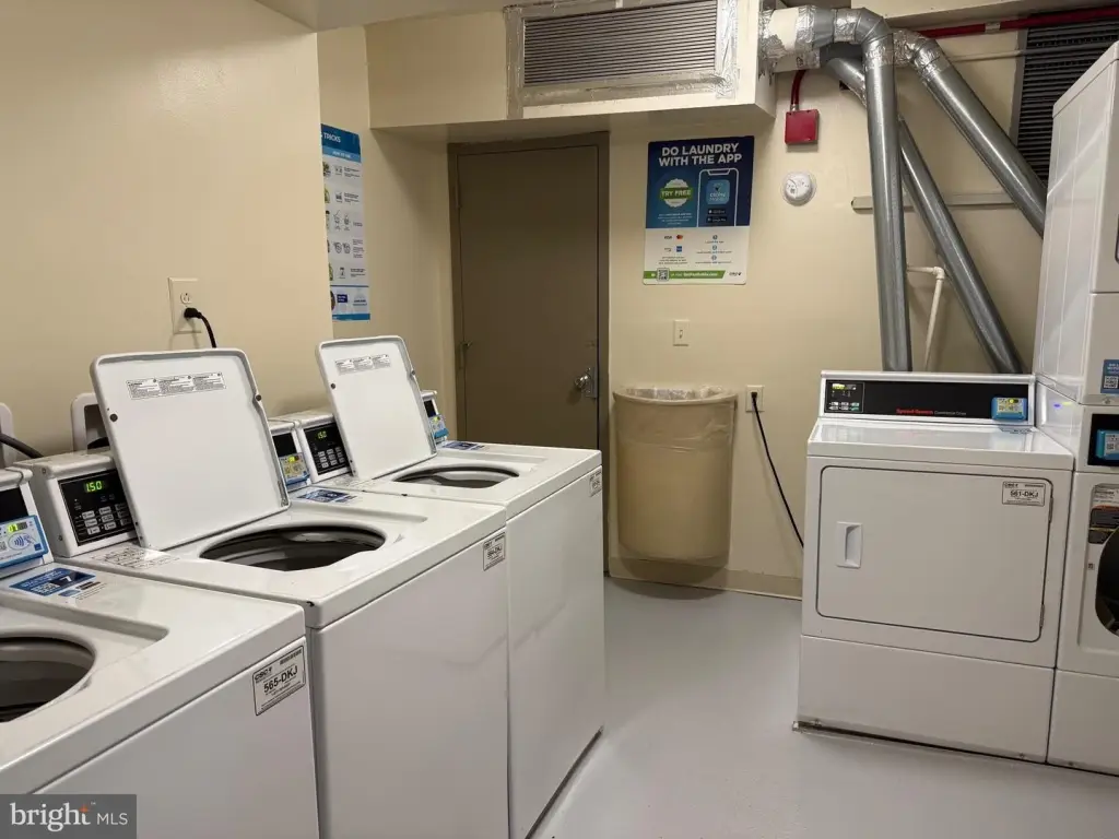 Picture 30