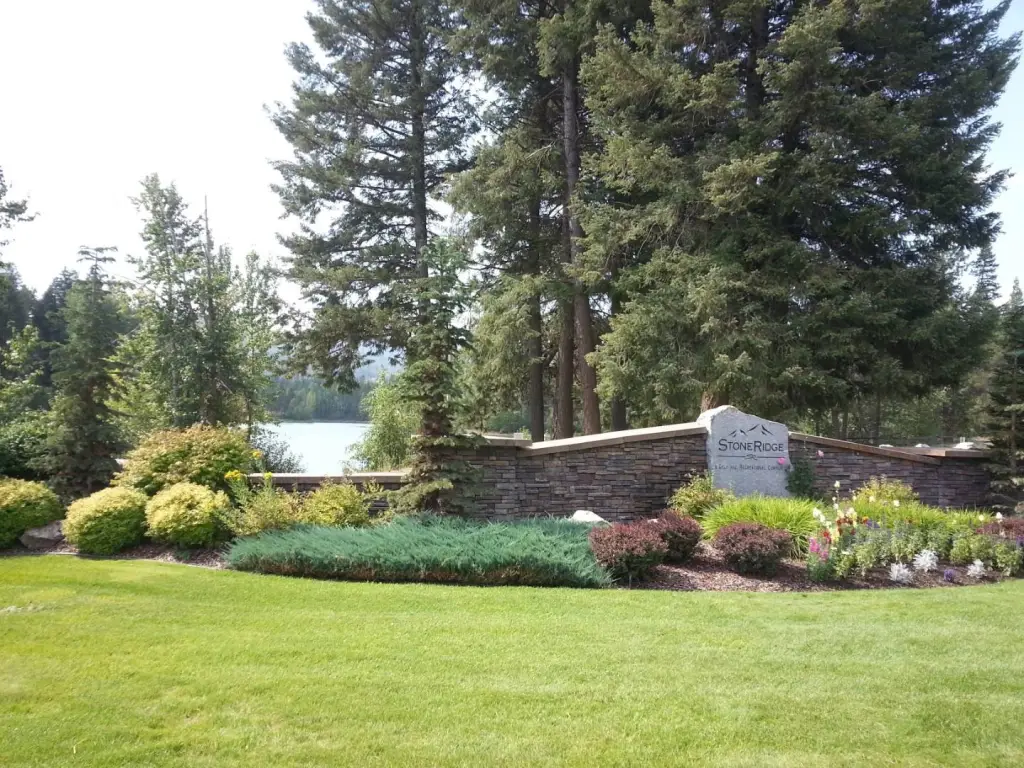 Picture 3
