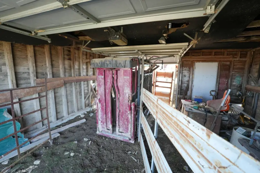 Picture 64