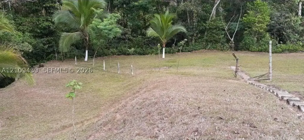 Picture 16