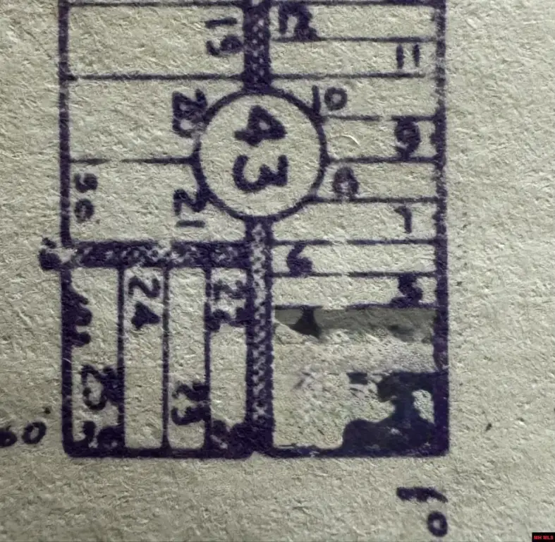 Picture 24