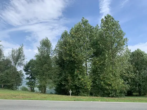 Bluff Homesite with Sunset Views