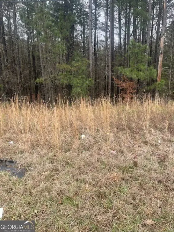 Picture 4