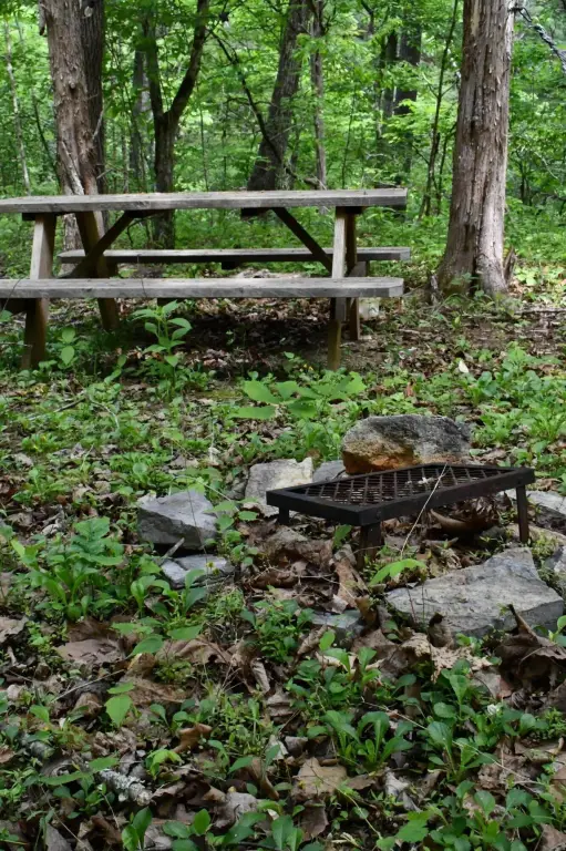 Picture 4