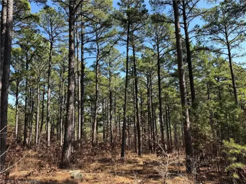 Tuskahoma Wooded Homesite Near Sardis