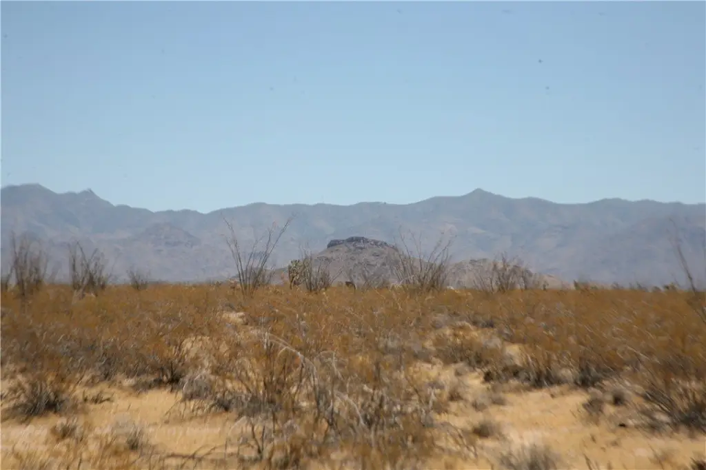 Picture 16