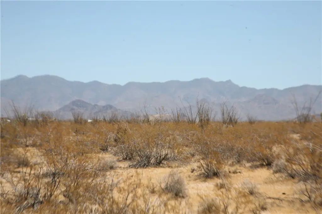 Picture 15