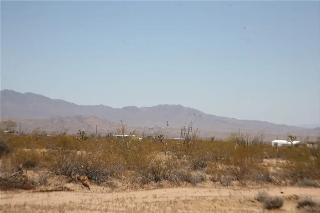 Picture 24