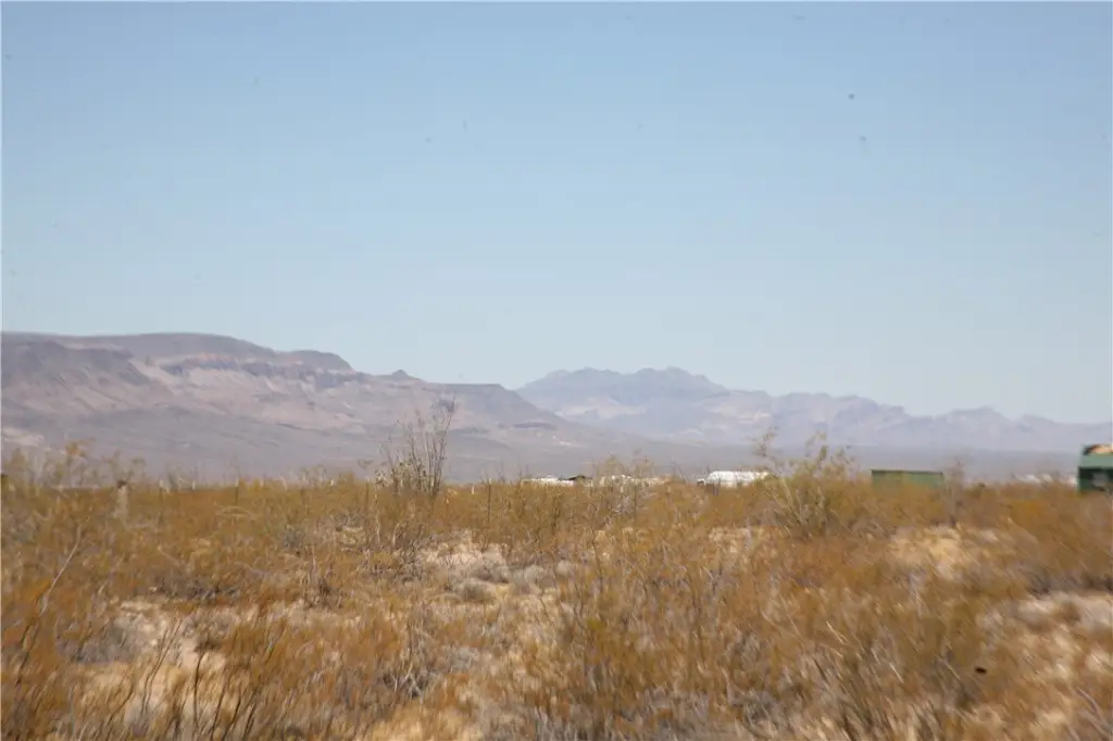 Picture 7