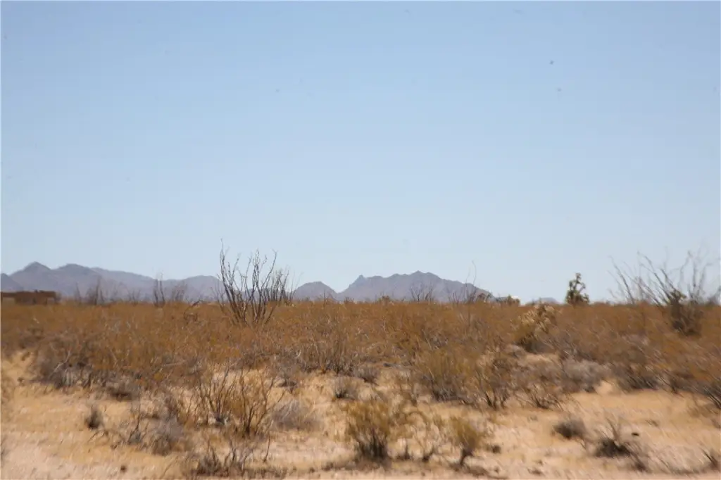Picture 19