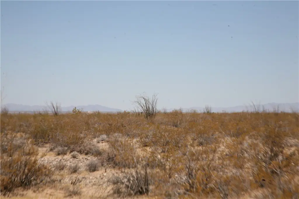 Picture 9