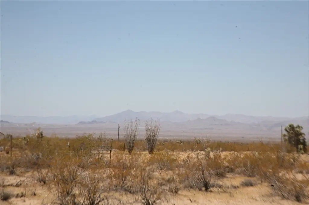 Picture 25