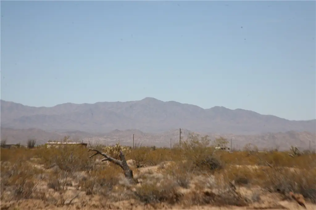 Picture 23