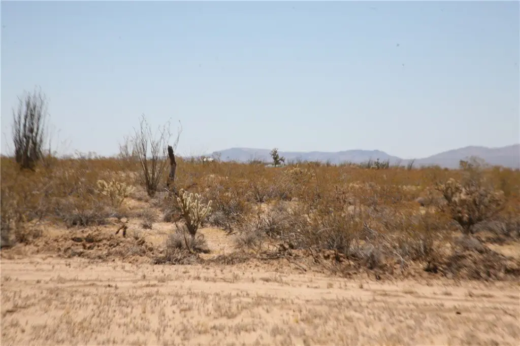 Picture 20