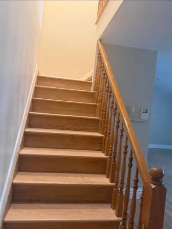 Picture 13