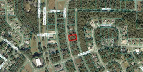 Commercial Land in Marion Oaks