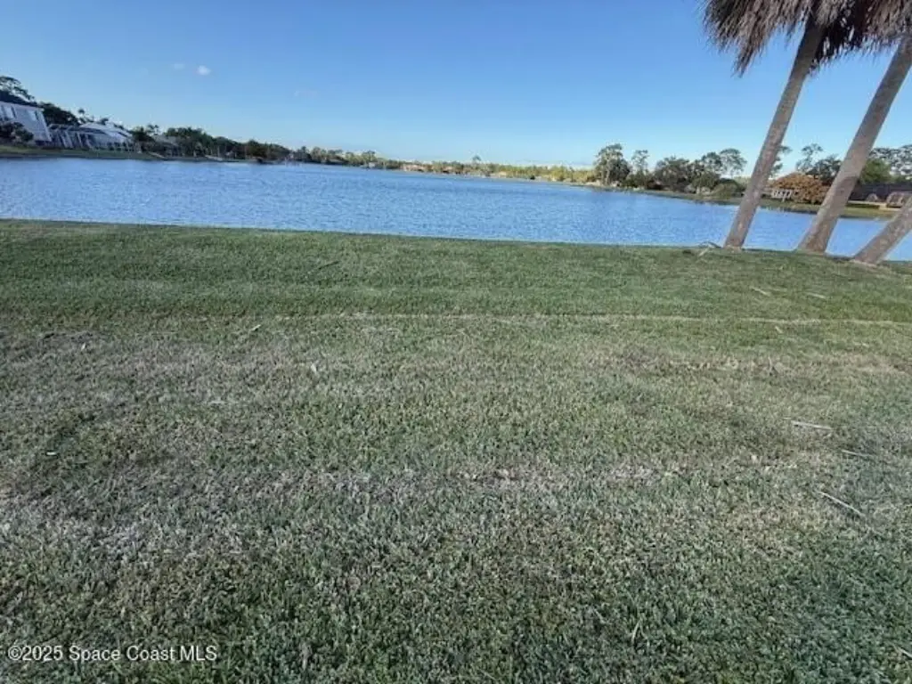 Picture 29
