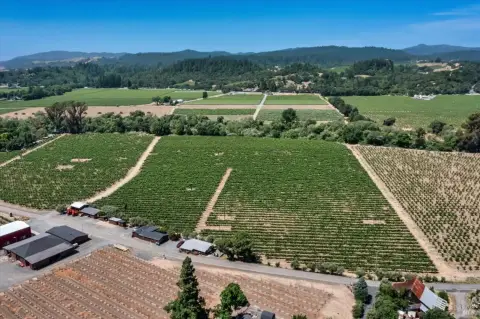 Healdsburg Vineyard Estate Opportunity