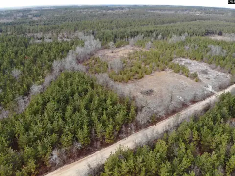 Wooded Acreage in Bethune, SC