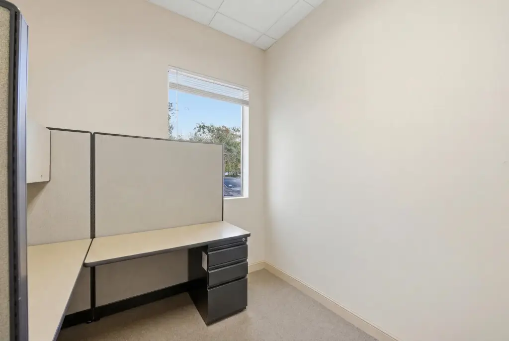 Picture 8