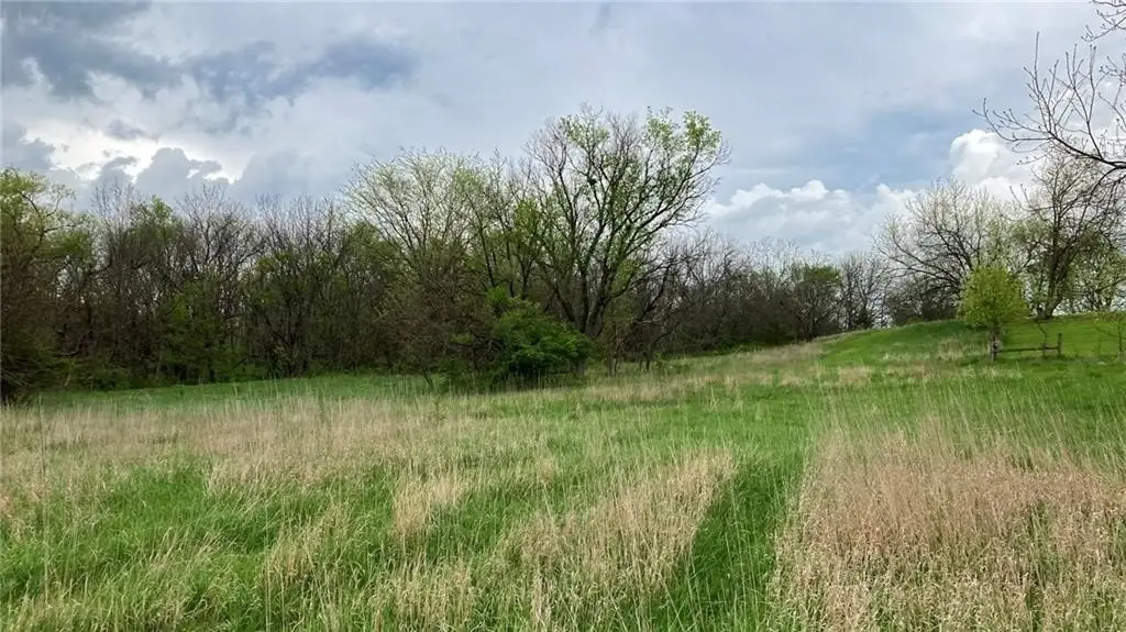 Picture 21