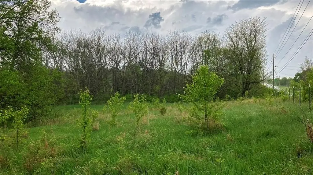 Picture 29