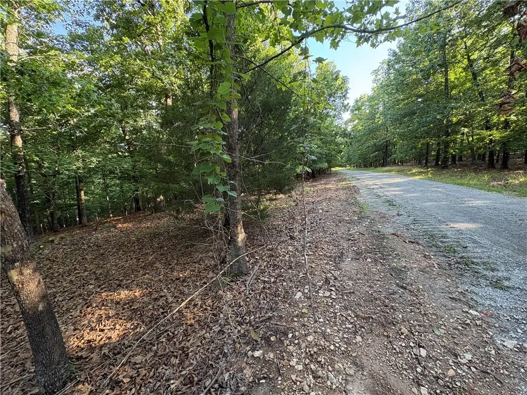 Picture 5