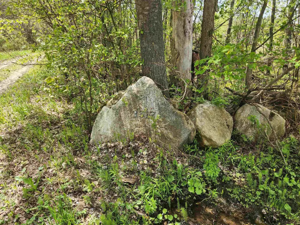 Picture 25