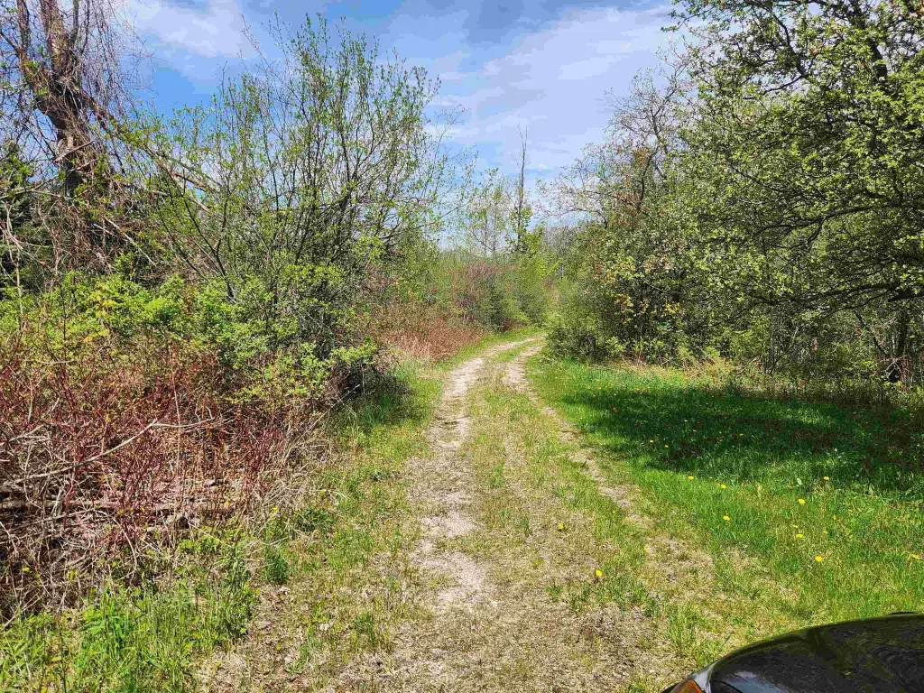 Picture 23