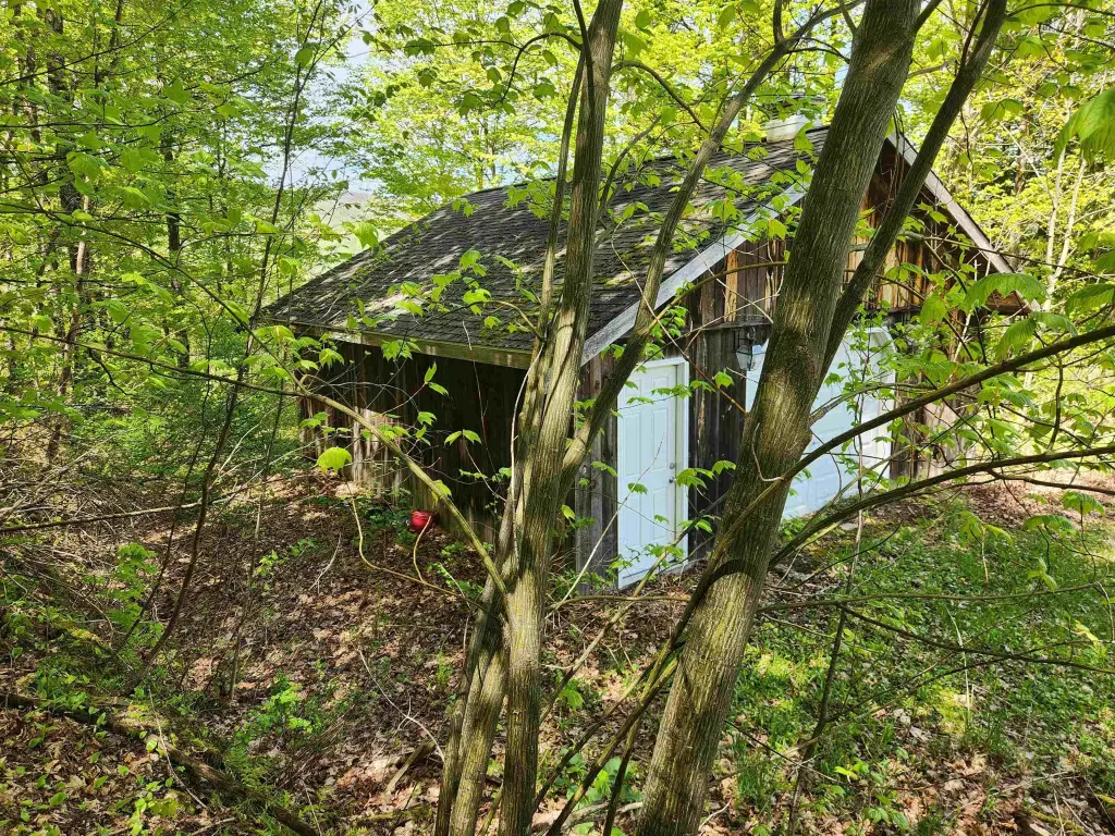 Picture 14