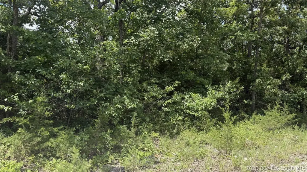 Picture 3