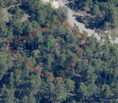 Wooded Lot in Sugarmill Woods