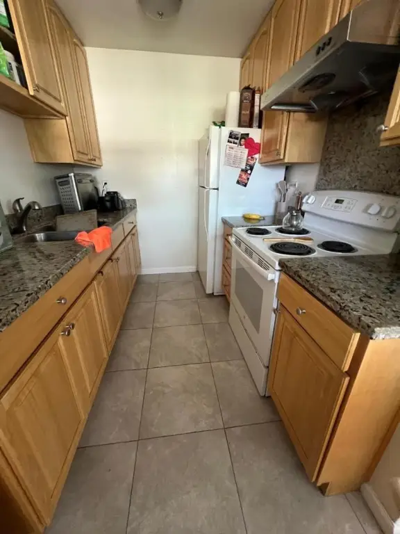Picture 16