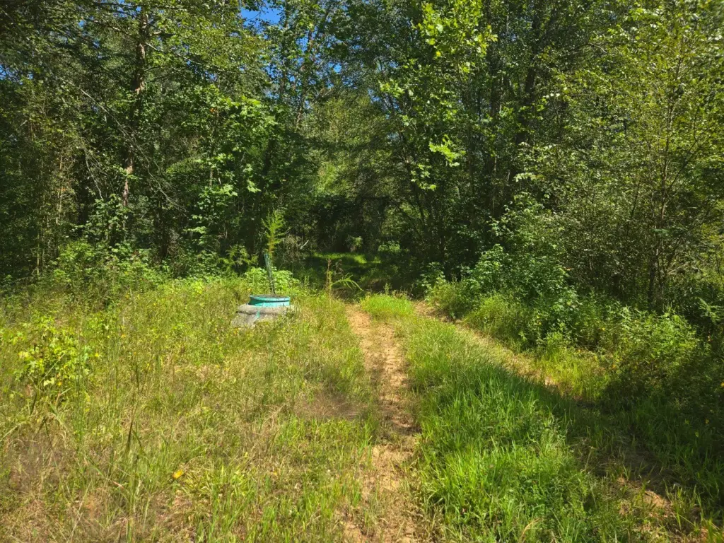 Picture 12