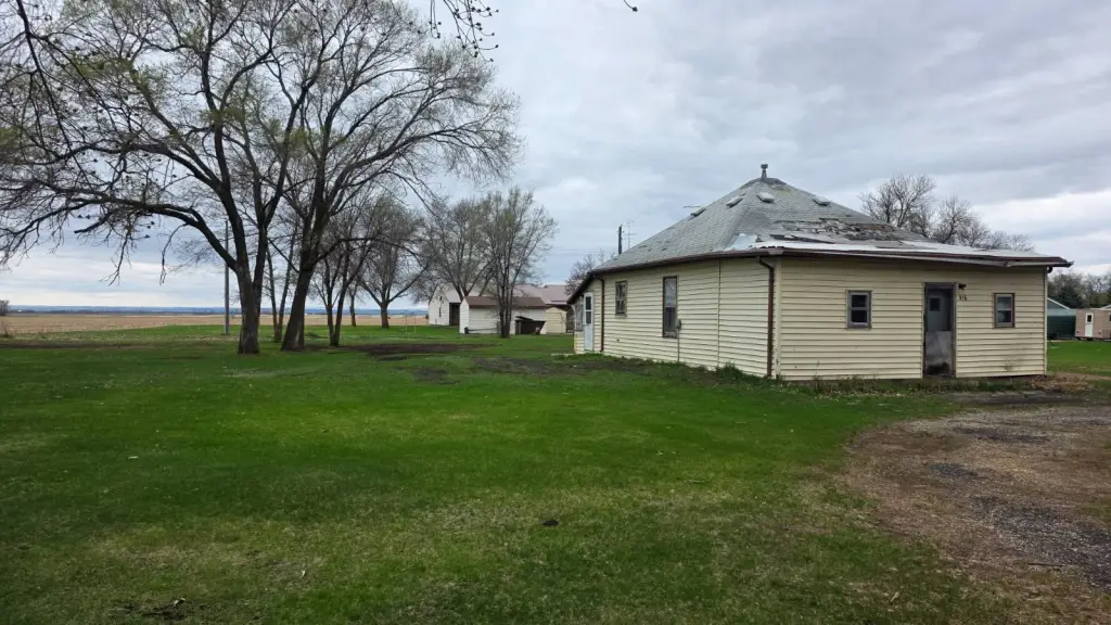 Picture 11