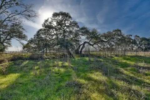 Burton, TX Acreage with Pastures
