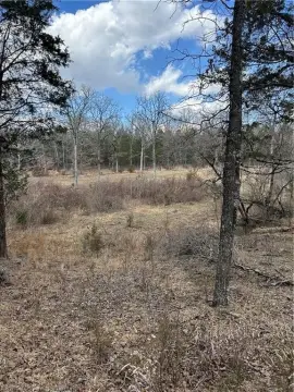 Secluded Hunting Land with Creek