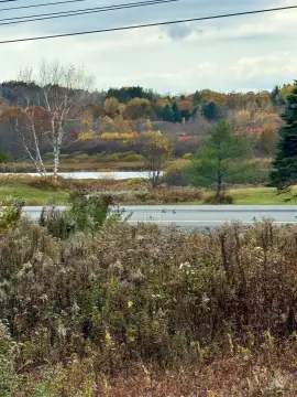 East Machias Acreage for Development