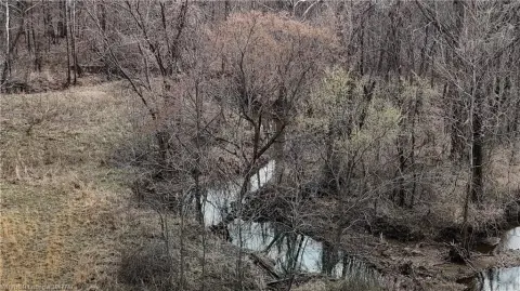 20 Acres of Open Land