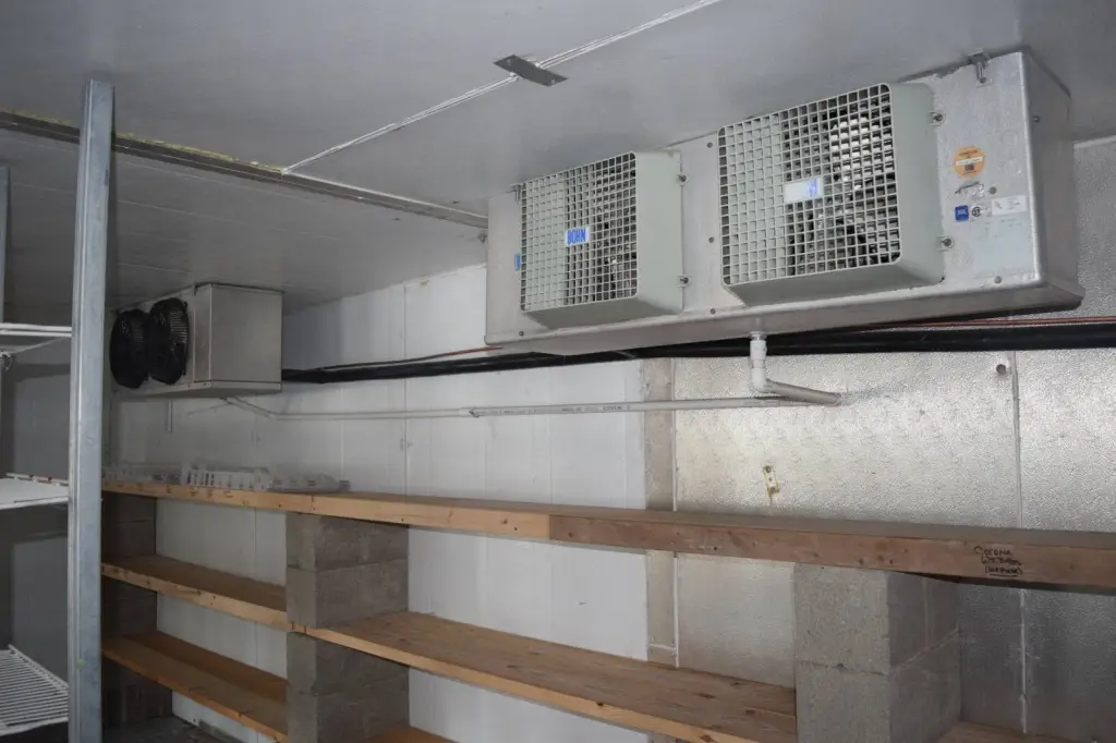 Picture 14