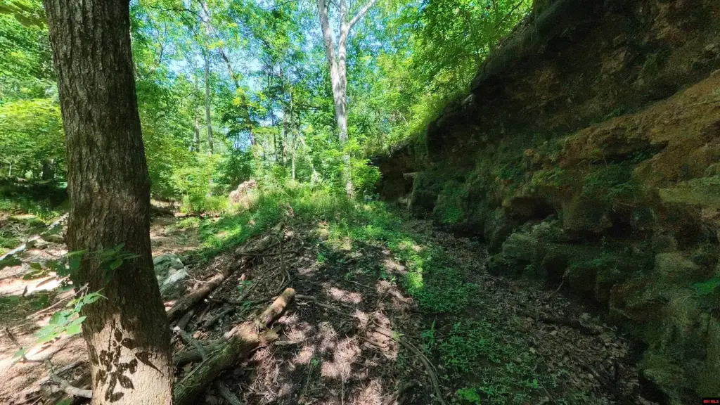 Picture 19