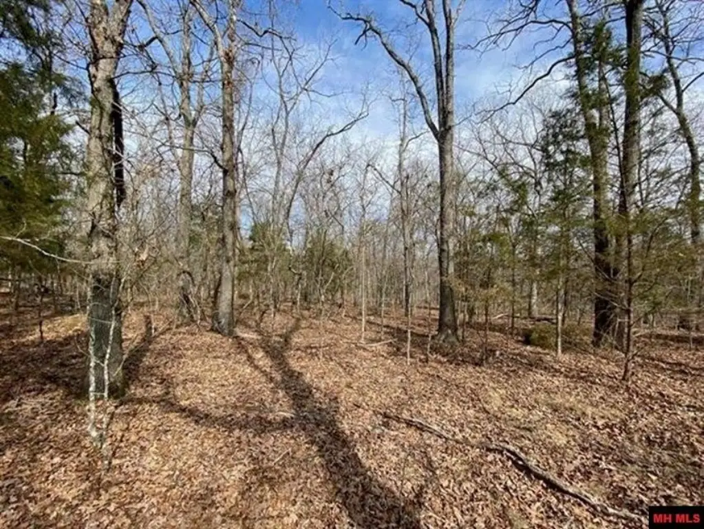 Picture 3
