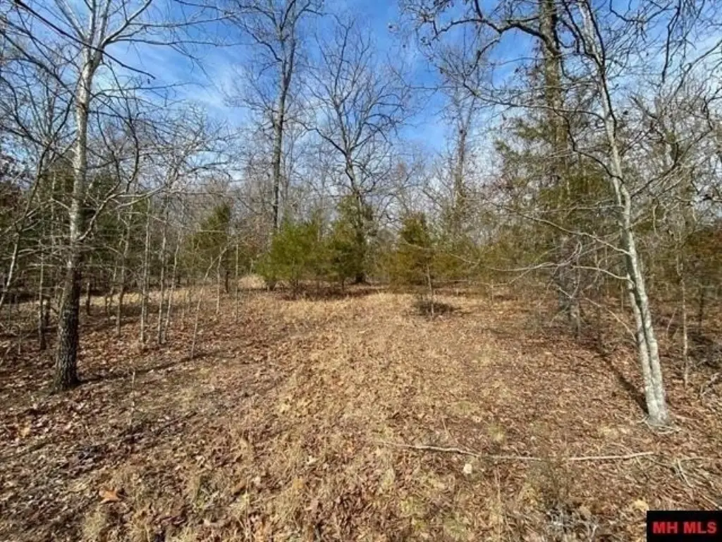 Picture 2
