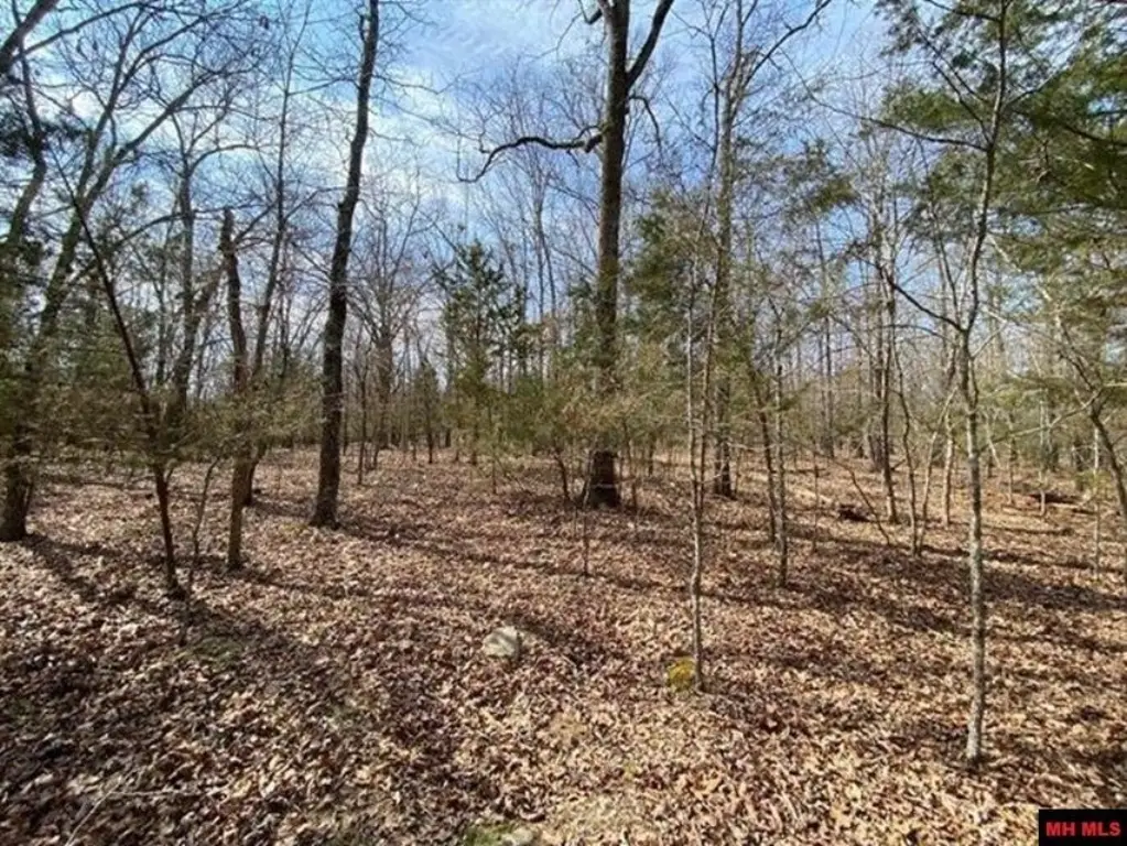 Picture 5